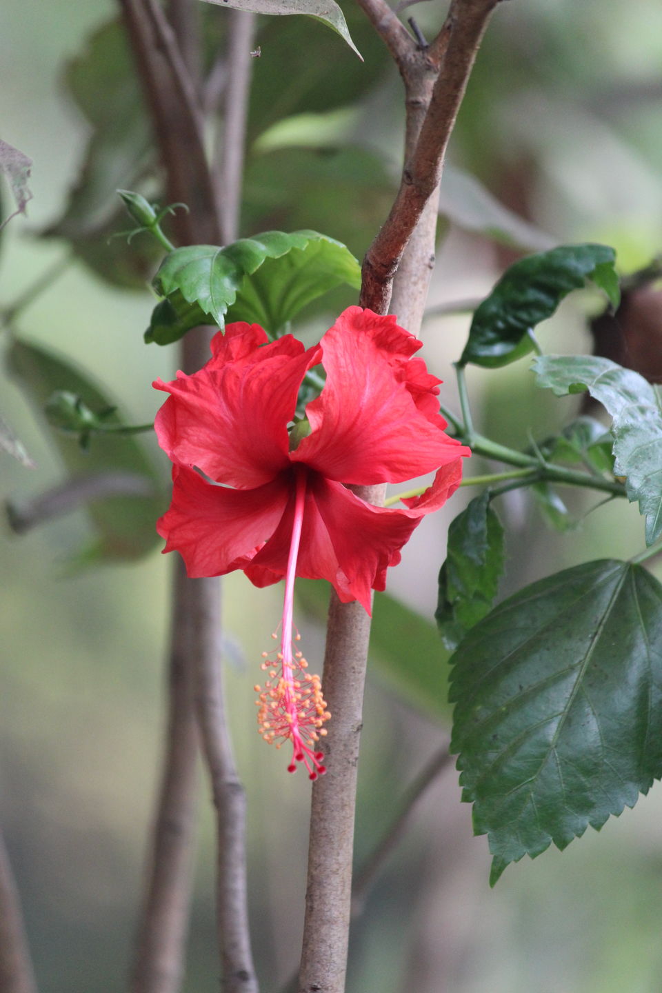 Photo of Spend A Day Camping Inside A National Park In The Heart Of Mumbai by Oindrila De