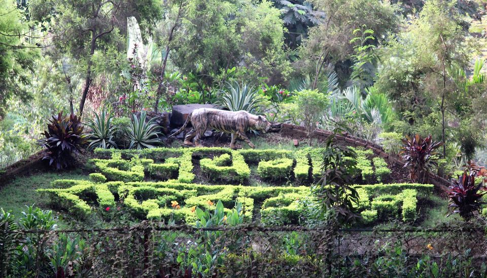 Photo of Spend A Day Camping Inside A National Park In The Heart Of Mumbai by Oindrila De