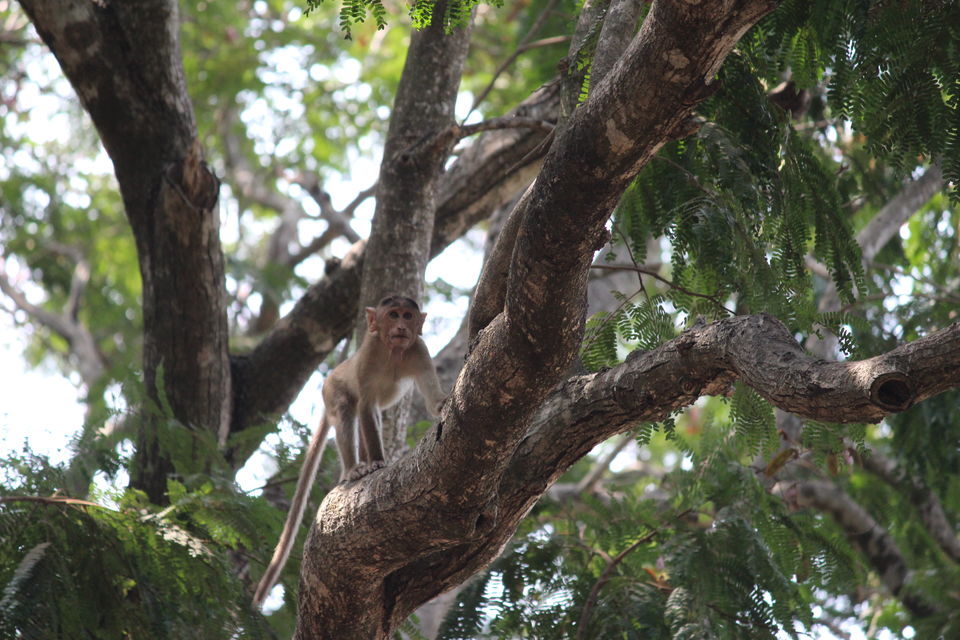 Photo of Spend A Day Camping Inside A National Park In The Heart Of Mumbai by Oindrila De
