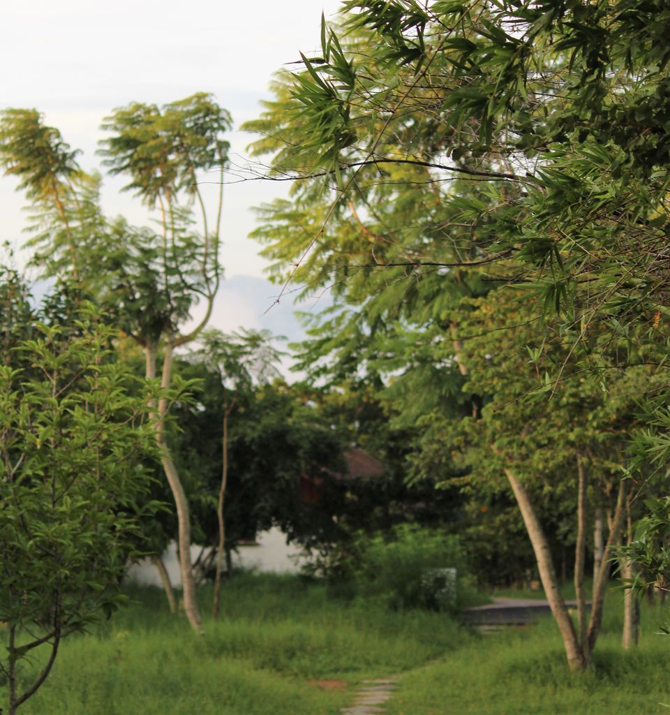 Photo of Be Inspired By The Jungle At This Opulent Resort In The Forests Of Karnataka by Oindrila De
