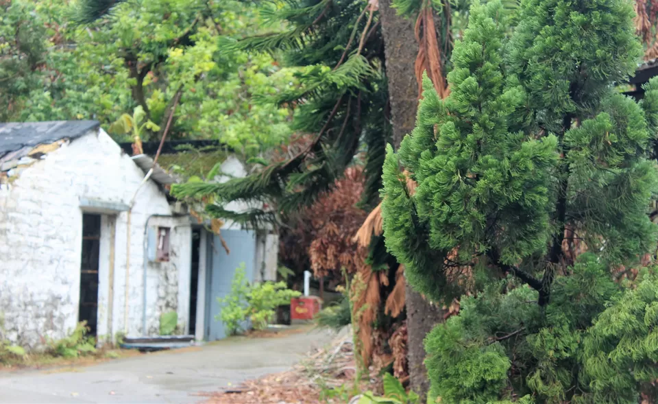 Photo of Lantau Trail, Hong Kong by Oindrila Soni