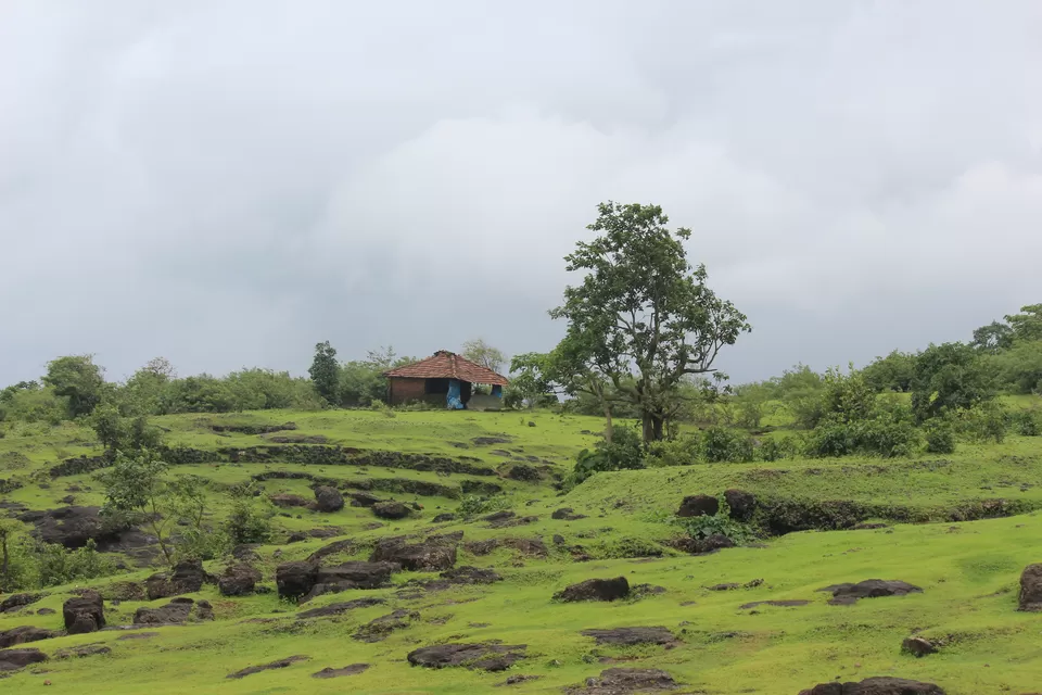 Photo of Prabalmachi, Maharashtra, India by Oindrila Soni