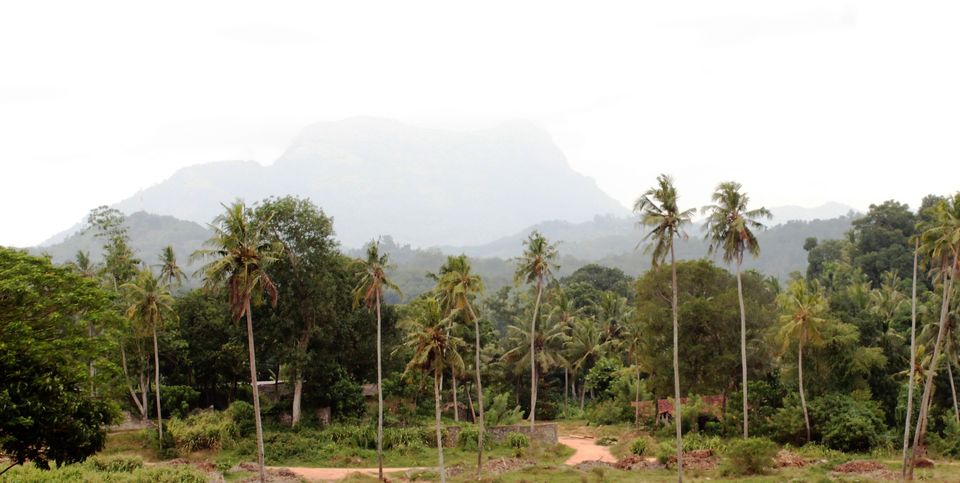 Photo of From Kottu To Watalappam - A Culinary Tour Through Sri Lanka by Oindrila Soni