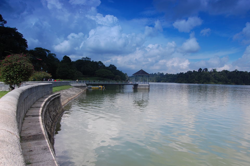 Photo of Natural Singapore - Exploring The Vivid Wilderness Of The Island 2/6 by Oindrila Soni