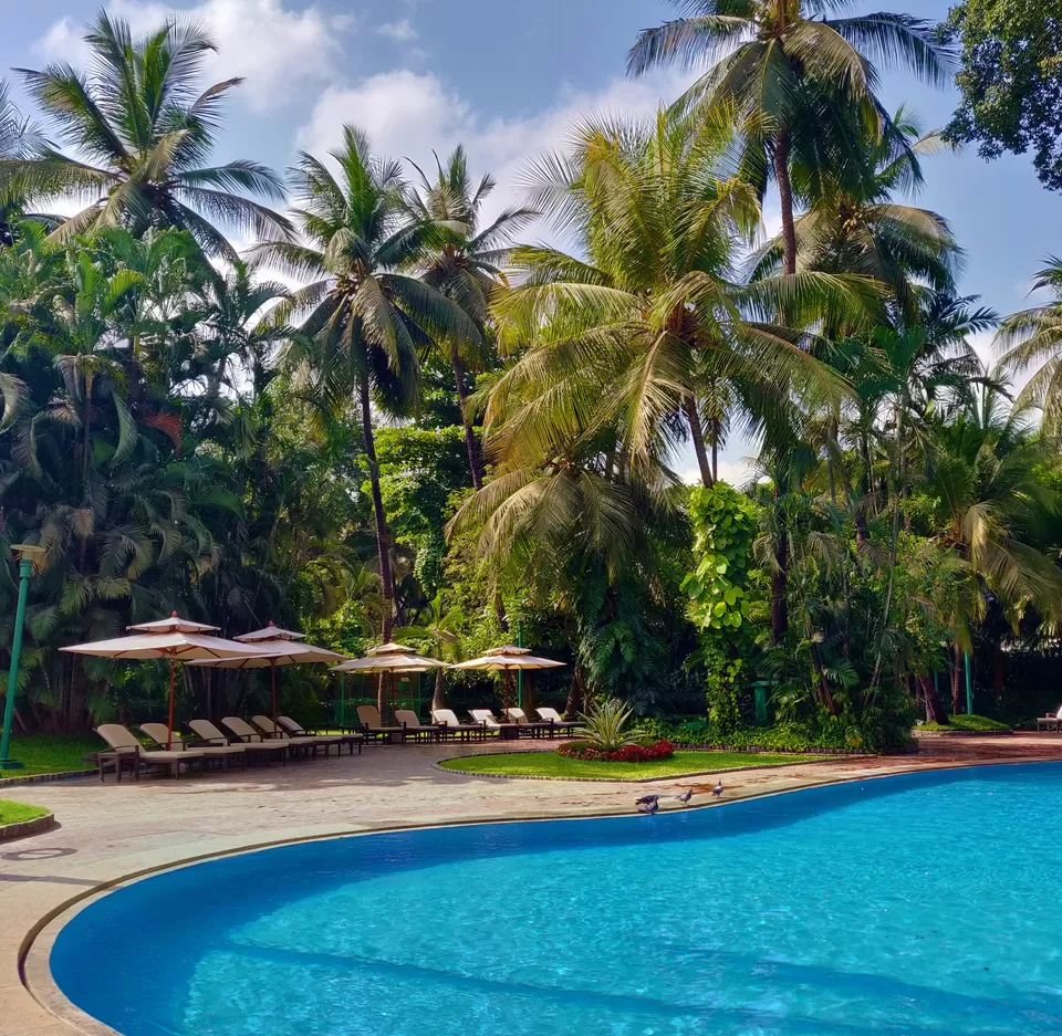 Photo of Regal Rest at The Leela Mumbai: A 5-Star Experience in the City by Oindrila Soni