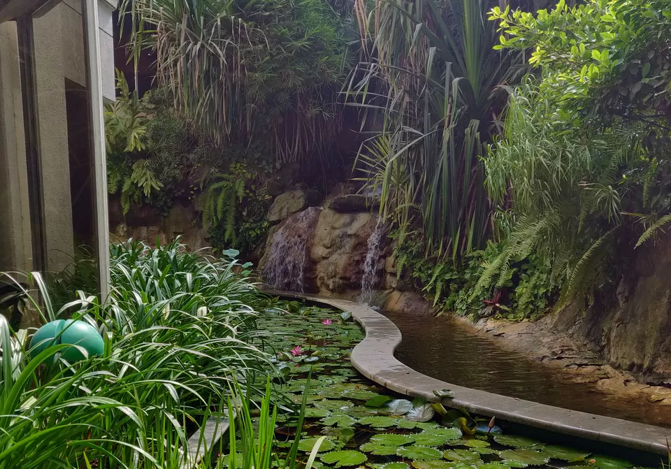 Photo of Regal Rest at The Leela Mumbai: A 5-Star Experience in the City by Oindrila Soni