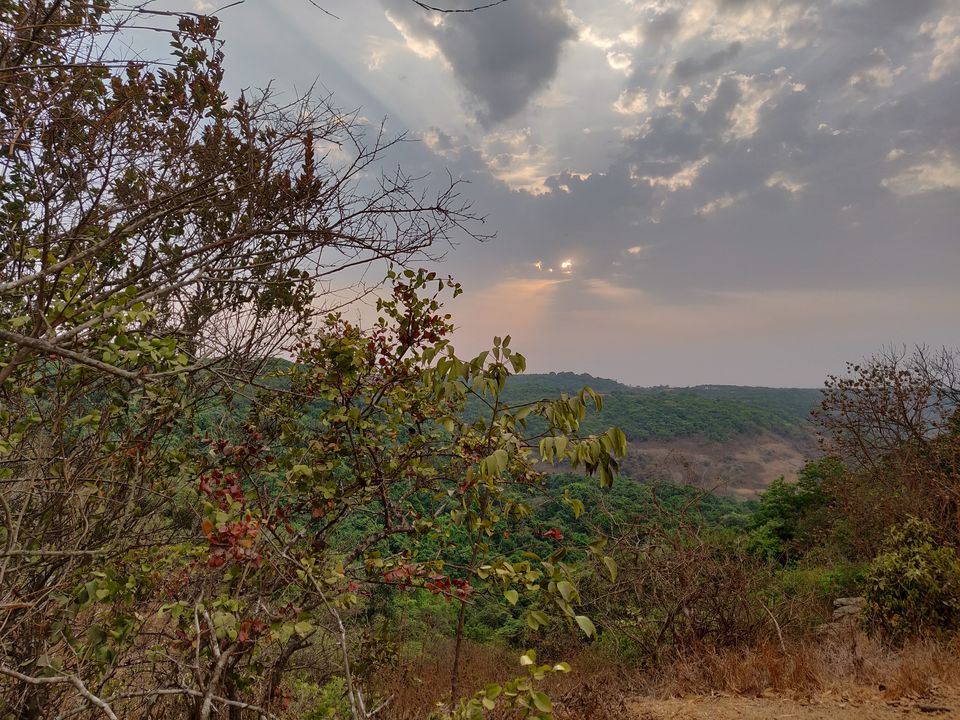 Photo of Weekend Break at The Machan: Lonavala's Most Exclusive Treehouses by Oindrila Soni
