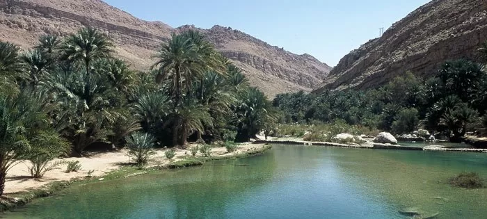 Photo of Wadi Al Khoud وادي الخوض, Oman by Oindrila Soni