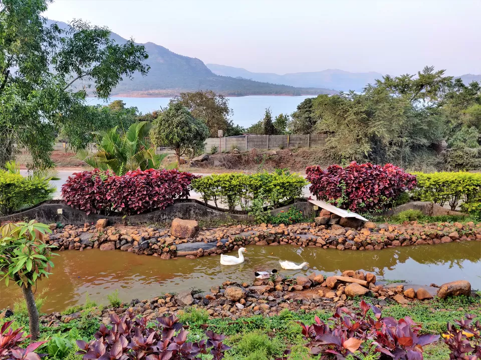 Photo of Mulshi Lake, Nandivali, Maharashtra by Oindrila Soni