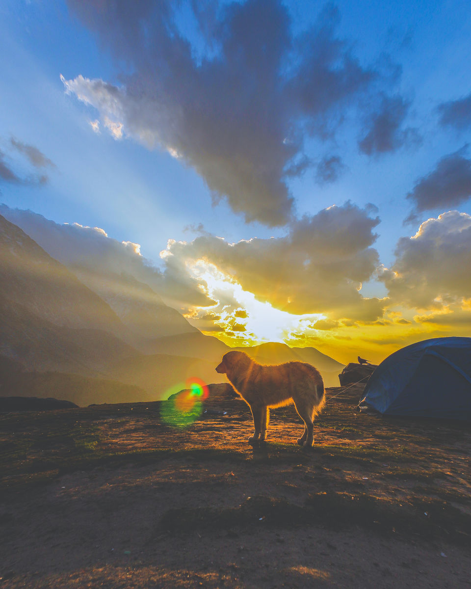 Photo of #TripotoClicksHimalayas by Isa Khan