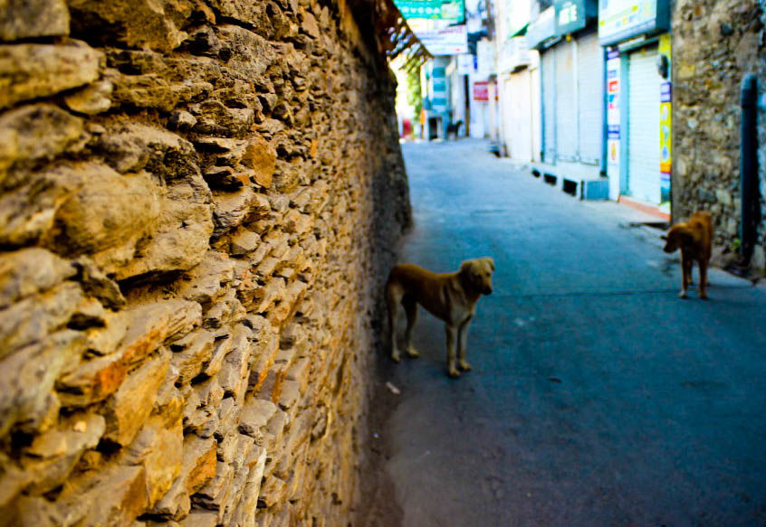 Photo of Lake Pichola, Pichola, Udaipur, Rajasthan, India by Vishnu Modi