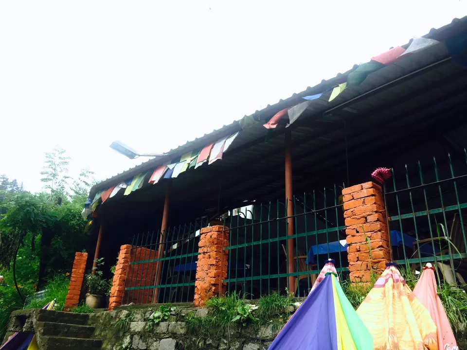 Photo of Insta envy cafés in Manali where you can sip & binge under INR 500 by Manmeet Kaur