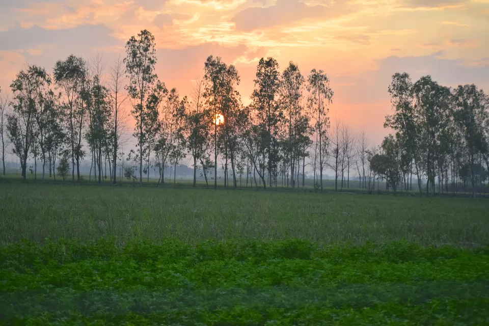 Photo of February Scenes Around Home: A Countryside Affair by Manmeet Kaur