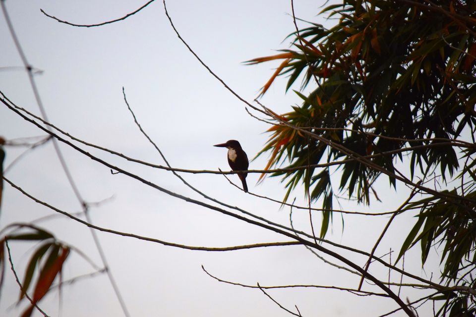 Photo of February Scenes Around Home: A Countryside Affair by Manmeet x Sandeep
