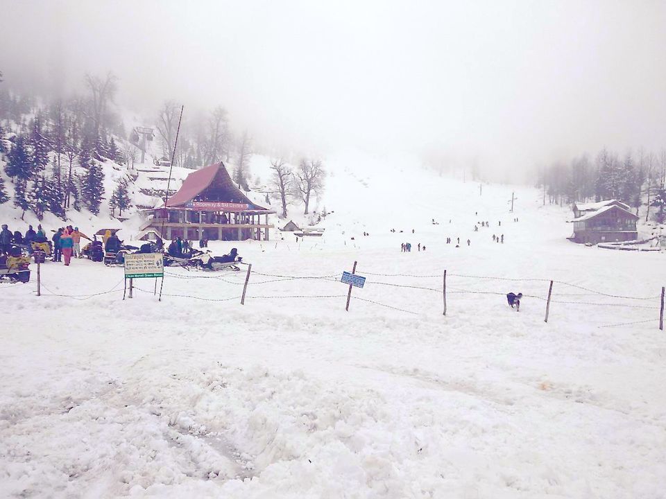 Photo of In The Hunt Of Snow 1/1 by Manmeet Kaur