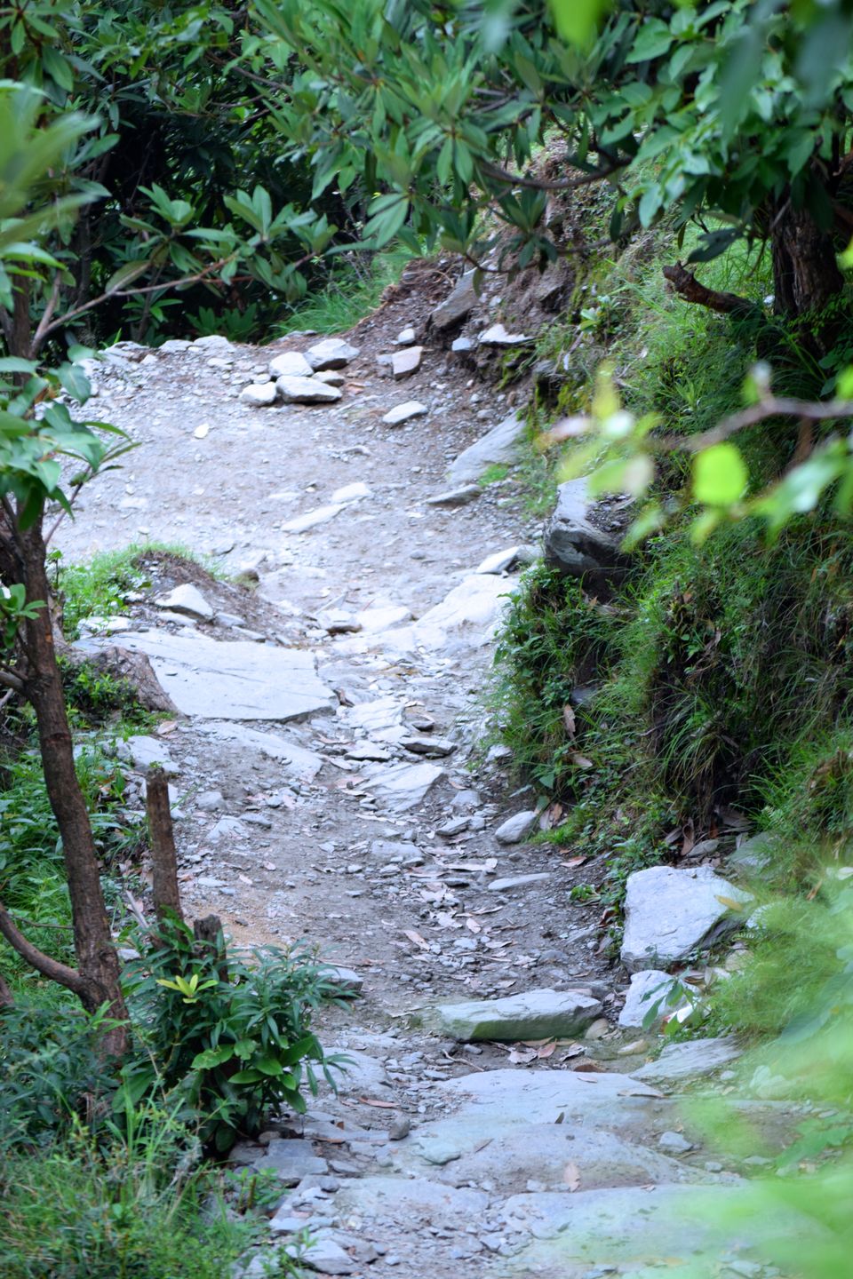 Photo of McLeodganj: Beautiful beyond Triund by Manmeet Kaur