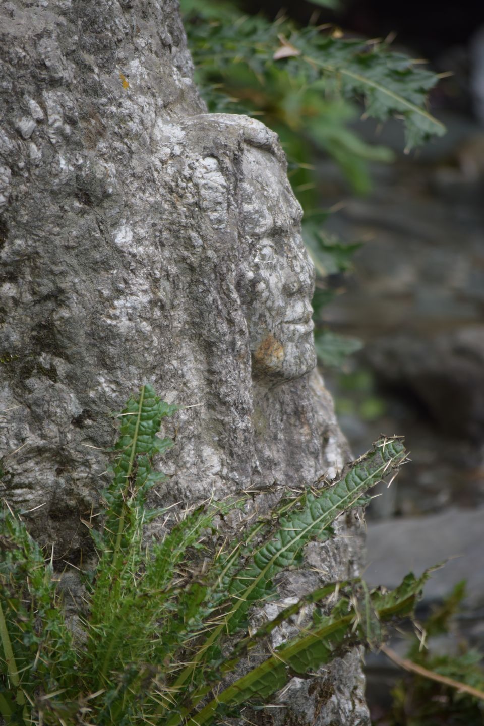 Photo of McLeodganj: Beautiful beyond Triund by Manmeet Kaur