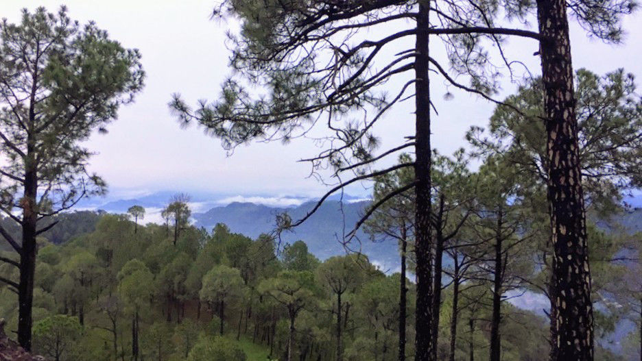 Photo of Kasauli, Himachal Pradesh, India by Manmeet Kaur
