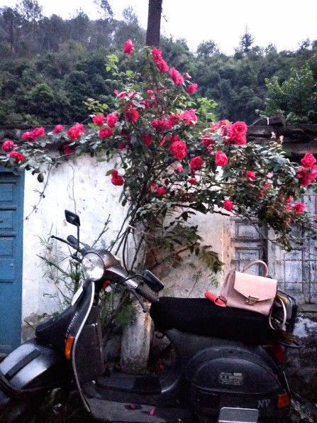 Photo of Sadhupul Bridge, Kandaghat-Chail-Kufri Road, Sadhupul, Himachal Pradesh, India by Manmeet Kaur