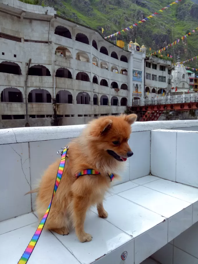 Photo of Manikaran, Himachal Pradesh, India by Manmeet Kaur