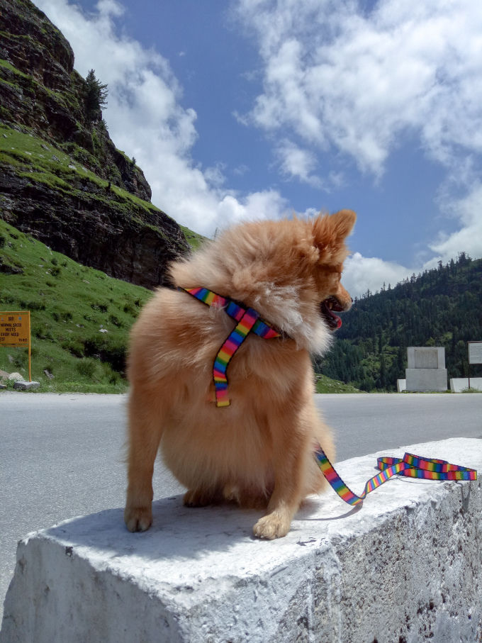 Photo of Rohtang Pass, Himachal Pradesh by Manmeet Kaur