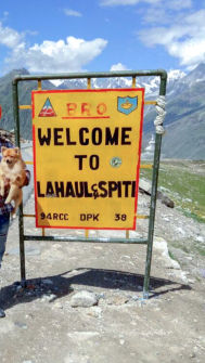 Photo of A Pomeranian's Tale of Road Tripping in Himachal #Travelwithpets by Manmeet Kaur
