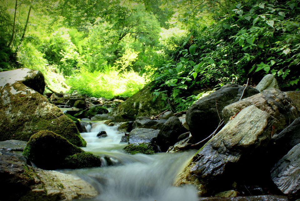 Photo of Pathor Nachoni -Wan, Uttarakhand, India by Manish