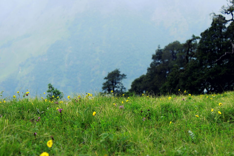 Photo of Lohajung-Didna by Manish