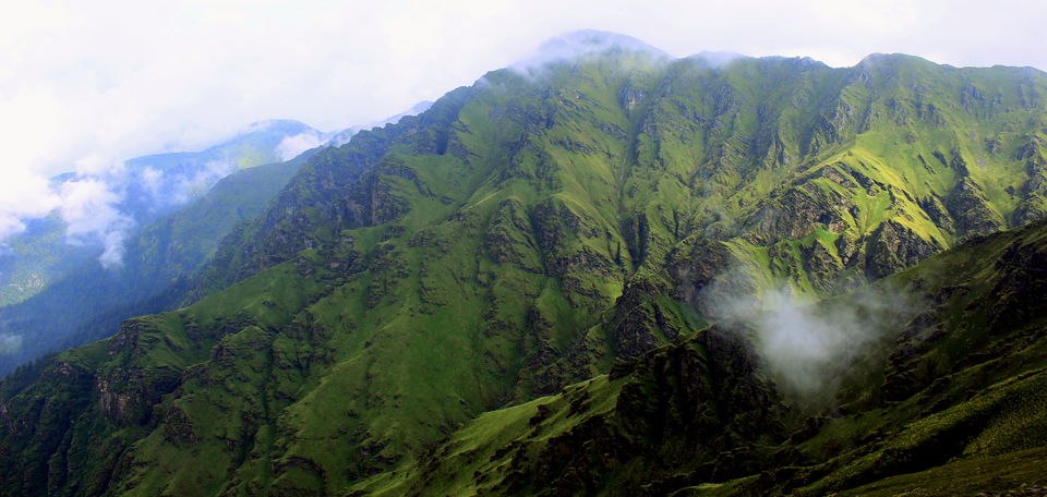 Photo of Bedni - Pathor Nachoni by Manish