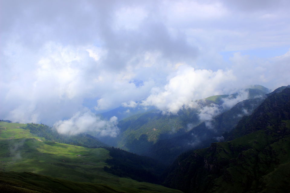 Photo of Bedni - Pathor Nachoni by Manish