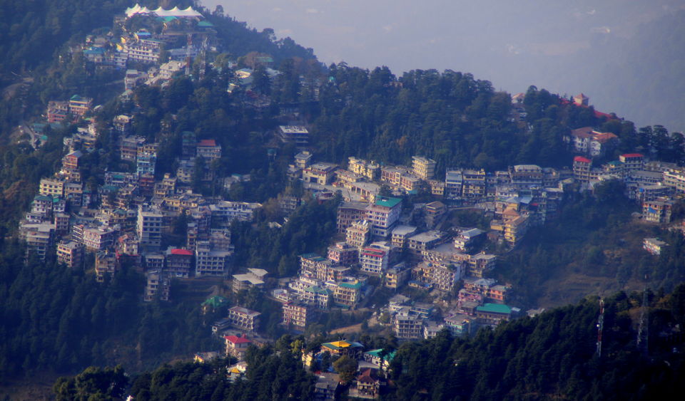 Photo of Whispers in the Mountains, Exploring McLeod Ganj | Triund 5/15 by Manish