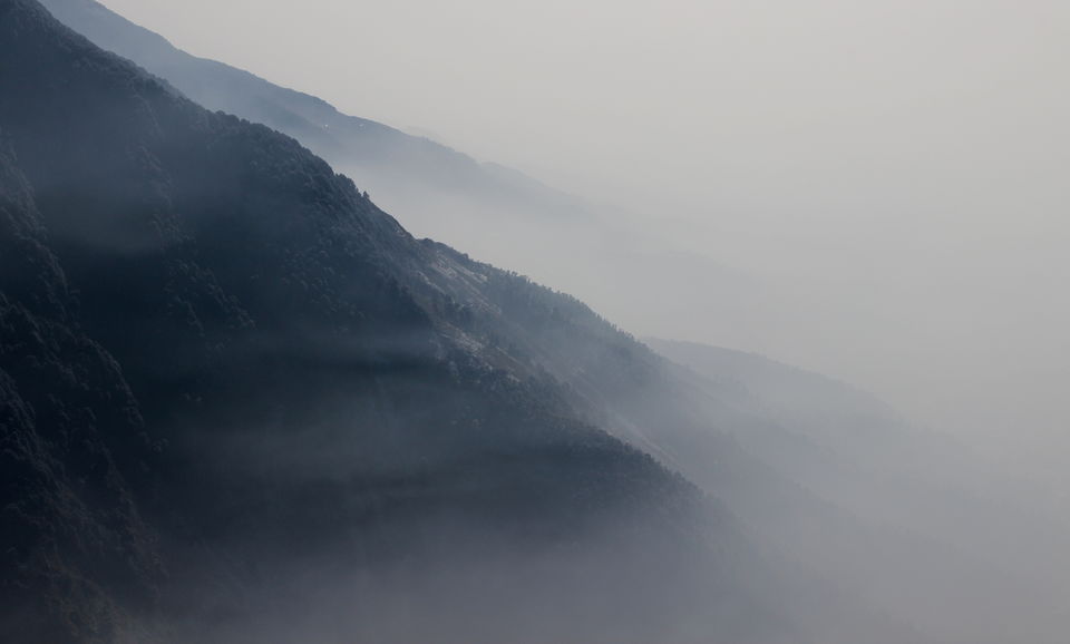 Photo of Whispers in the Mountains, Exploring McLeod Ganj | Triund 13/15 by Manish