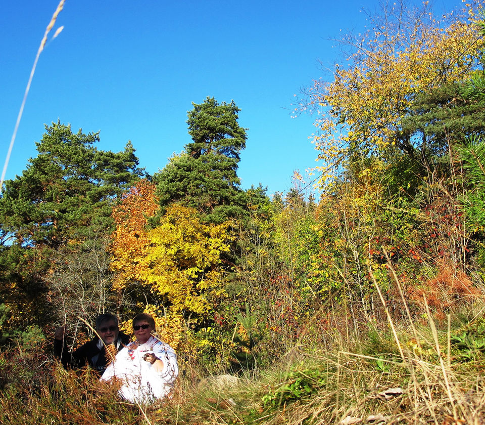 Photo of Urban Nature at Ekeberg Sculpture Park, Oslo 9/11 by Renny B. Amundsen