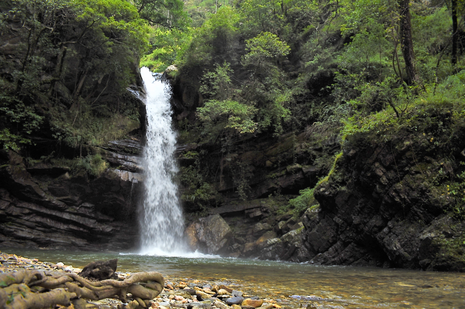 Photo of Bhalu Gaad falls, Link Road, Chaukhuta Chak Rooshi, Uttarakhand, India by Avantika Chaturvedi