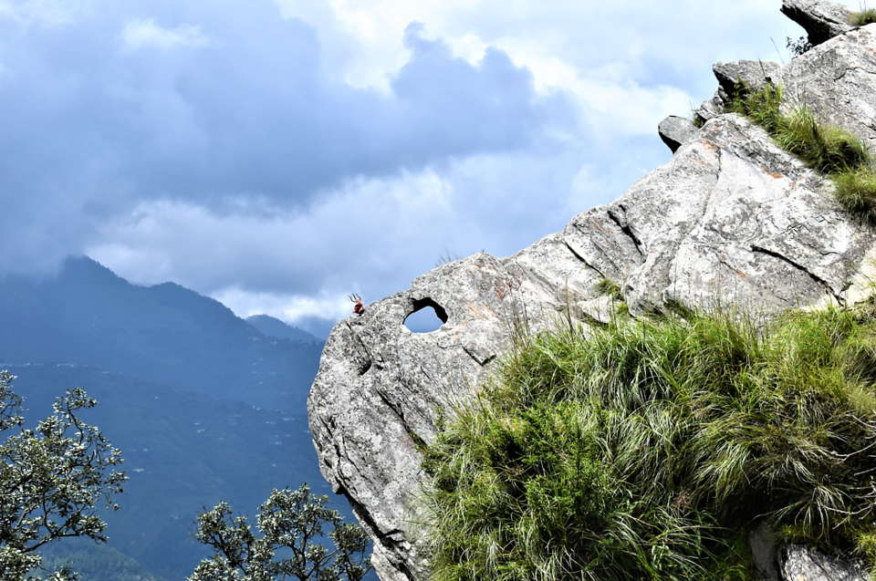 Photo of Mukteshwar MahadevTemple, Mukteshwar, Uttarakhand, India by Avantika Chaturvedi