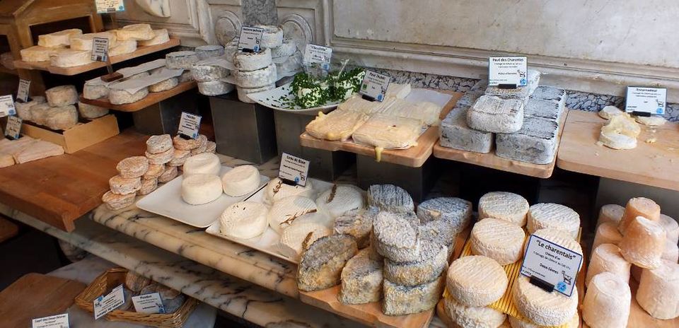 Photo of 6 Indian Cheese That Every Cheese Lover Must Try by Avantika Chaturvedi