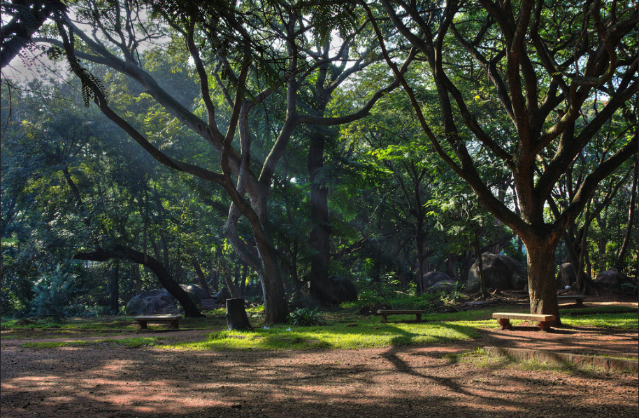 Photo of Bengaluru, Karnataka, India by Avantika Chaturvedi
