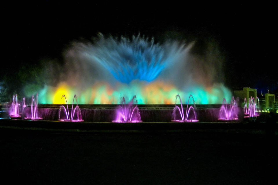 Photo of 7 Best Parks in Bengaluru for a Picnic or a Run by Avantika Chaturvedi