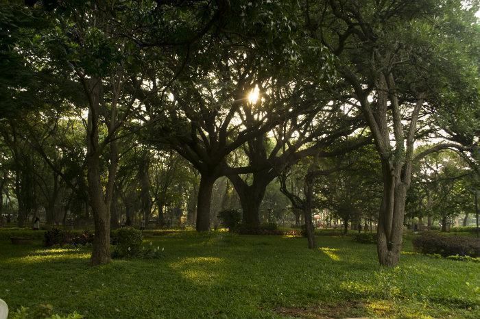 Photo of 7 Best Parks in Bengaluru for a Picnic or a Run by Avantika Chaturvedi