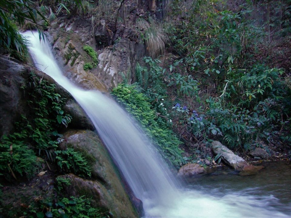 Photo of 6 Offbeat Places In and Around Rishikesh That You Probably Didn't Know of! by Avantika Chaturvedi