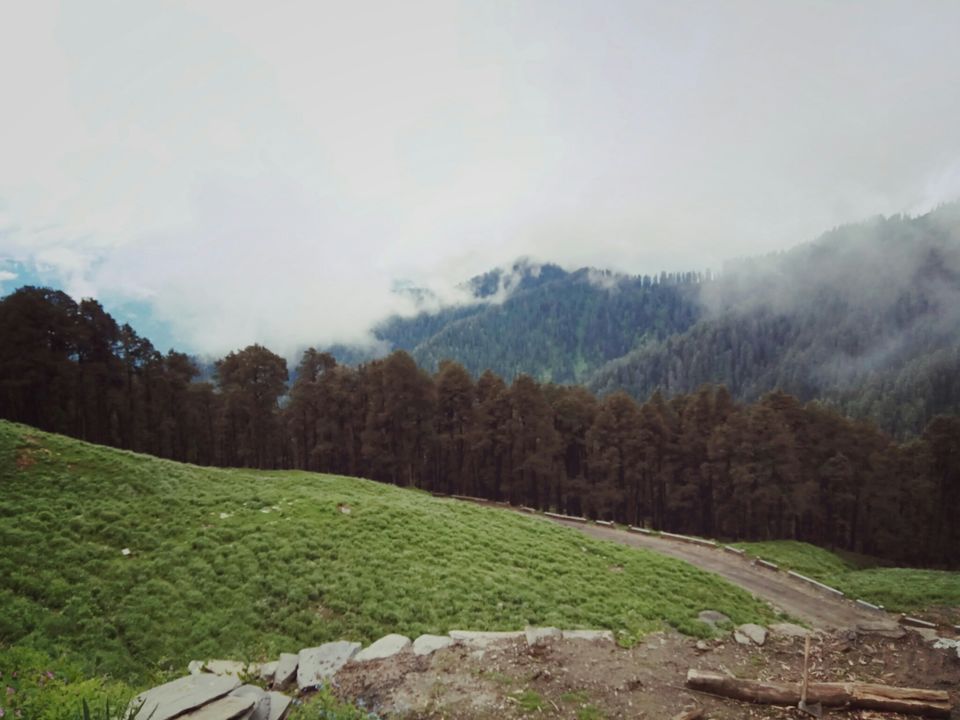Photo of Jalori Pass, Jalori, Sajwar, Himachal Pradesh, India by Snigdha Gupta