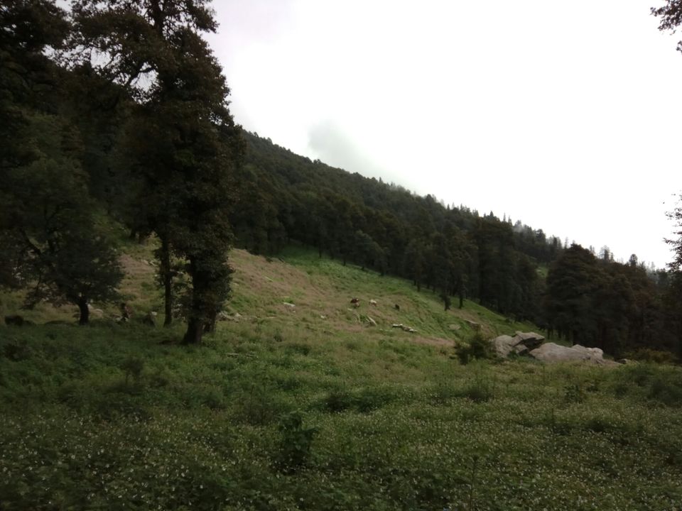 Photo of Serolsar Lake, Sajwar, Himachal Pradesh, India by Snigdha Gupta