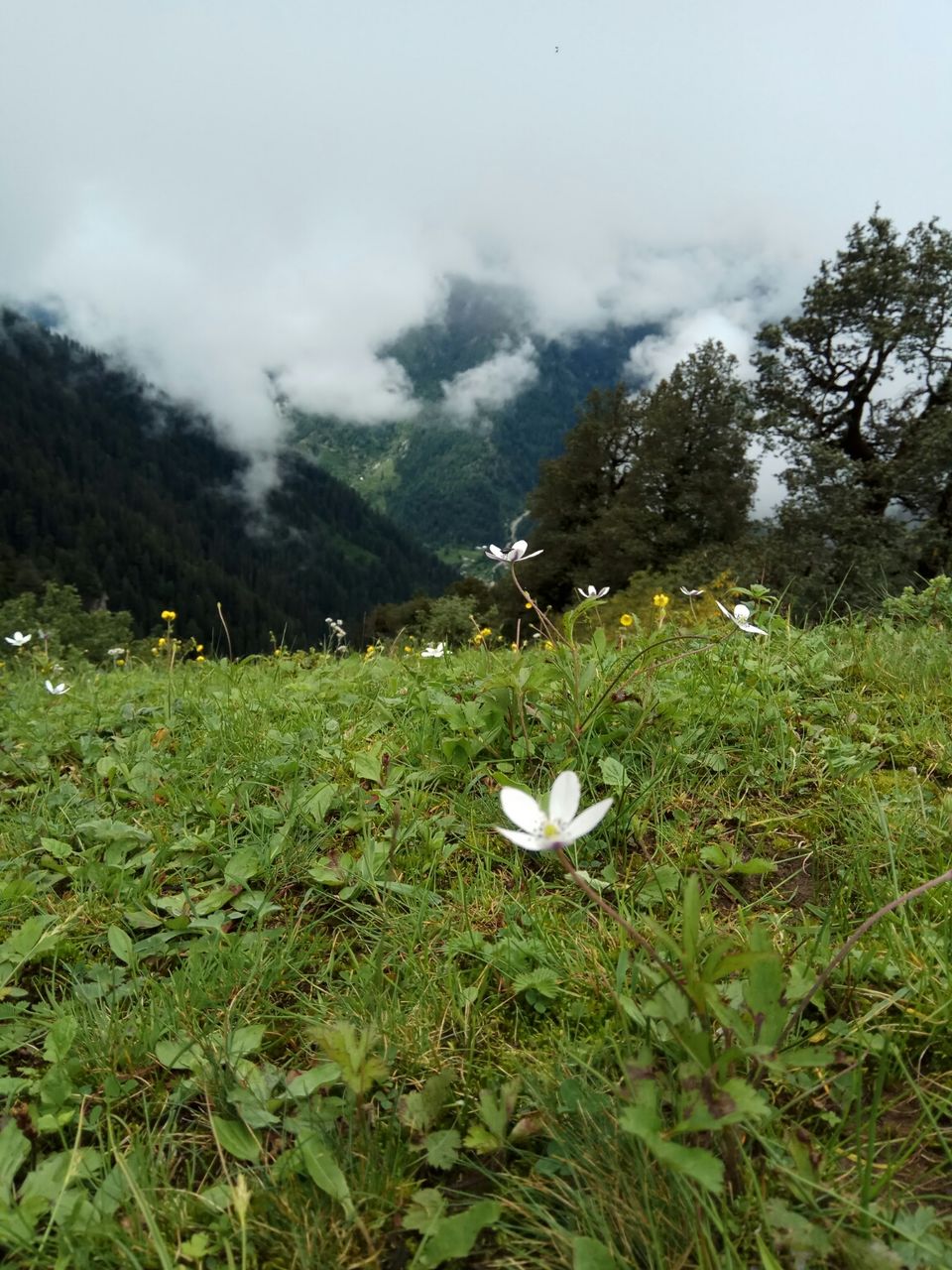 Photo of Serolsar Lake, Sajwar, Himachal Pradesh, India by Snigdha Gupta