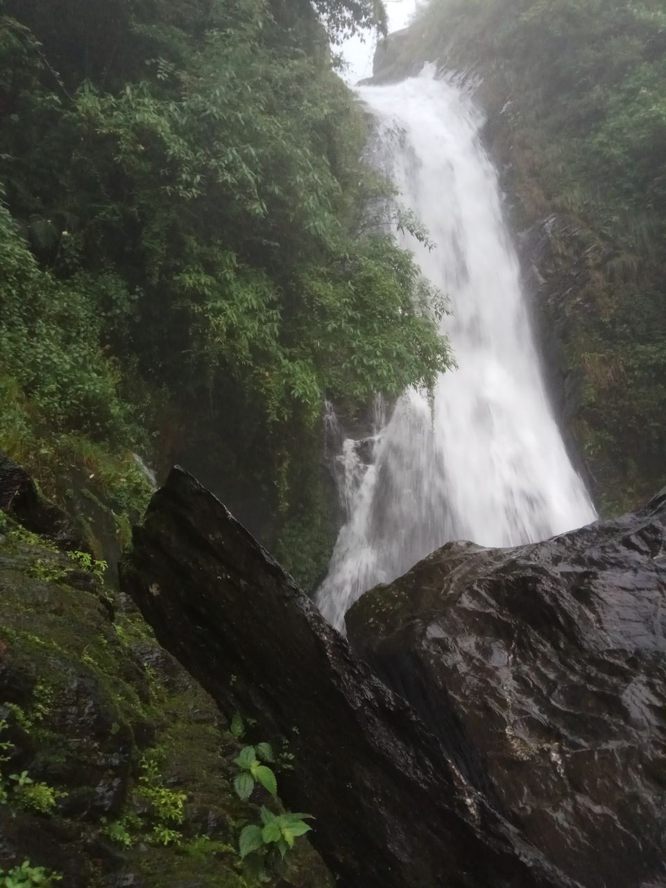 Photo of Bhagsu Nag Waterfall Pathway, Bhagsu Nag, Dharamshala, Himachal Pradesh, India by Snigdha Gupta