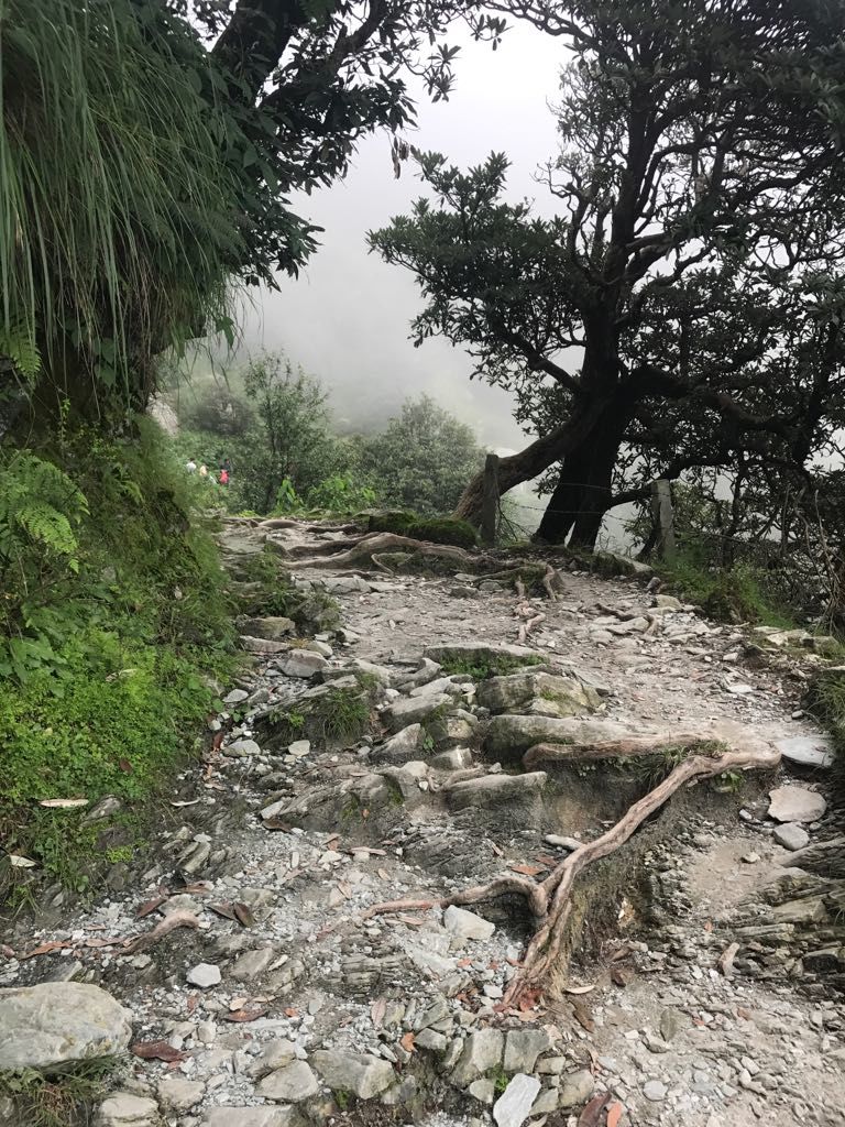 Photo of Triund Trek Trail, Trail to Triund Hill, Dharamshala, Himachal Pradesh, India by Snigdha Gupta