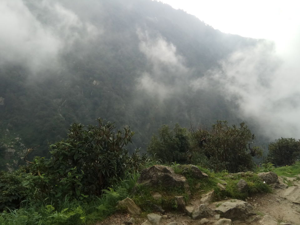 Photo of Triund Trek Trail, Trail to Triund Hill, Dharamshala, Himachal Pradesh, India by Snigdha Gupta