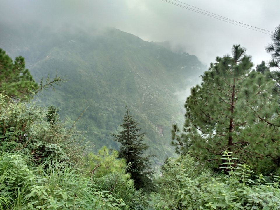 Photo of Triund Trek Trail, Trail to Triund Hill, Dharamshala, Himachal Pradesh, India by Snigdha Gupta
