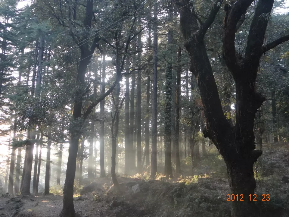 Photo of McLeod Ganj, Dharamshala, Himachal Pradesh, India by Rudrani