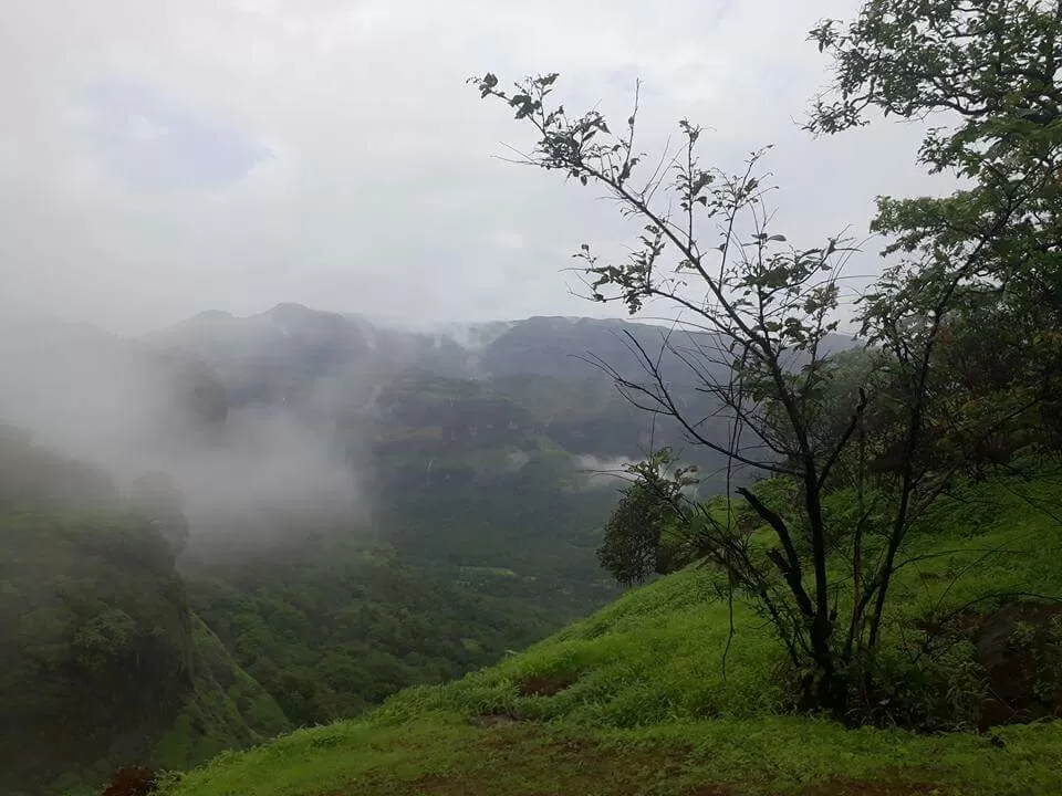 Photo of ANDHARBAN...WANDERING IN DARK FOREST by Shrushti Kamble