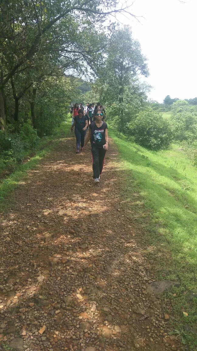 Photo of ANDHARBAN...WANDERING IN DARK FOREST by Shrushti Kamble